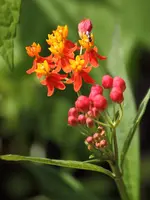 _MG_7130.webp