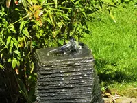 DSCF4658 (2).webp