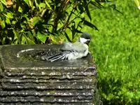 DSCF4665 (2).webp