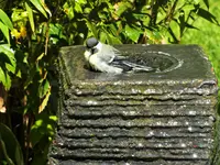 DSCF4666 (2).webp