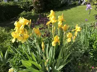 2F34CACB-1B7F-4C98-A2FD-CAC9CB4EBB34.webp 2F34CACB-1B7F-4C98-A2FD-CAC9CB4EBB34.webp