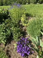 3701D65F-5D41-49F4-AC9F-EE7520F967D0.webp 3701D65F-5D41-49F4-AC9F-EE7520F967D0.webp