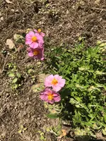 61806E84-8D88-4CA4-8FB5-BF7C3D080CEE.webp 61806E84-8D88-4CA4-8FB5-BF7C3D080CEE.webp