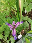 IMG_20210601_131339.jpg