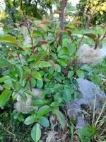 k-20210531_195337.webp k-20210531_195337.webp