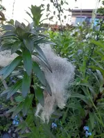 k-20210531_195251.webp k-20210531_195251.webp