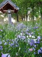 k-20210530_201647.webp k-20210530_201647.webp