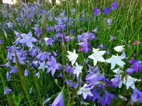 k-20210530_201702.webp k-20210530_201702.webp