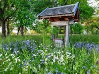 k-20210530_201731.webp k-20210530_201731.webp