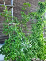 k-20210531_193917.webp k-20210531_193917.webp