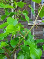 k-20210531_193951.webp k-20210531_193951.webp