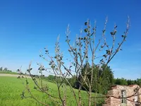 k-20210601_083706.webp k-20210601_083706.webp