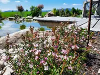 k-20210601_120130.webp k-20210601_120130.webp