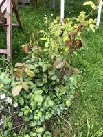 FE5465A9-EA74-40AA-882B-C7B157DEA1E7.webp FE5465A9-EA74-40AA-882B-C7B157DEA1E7.webp