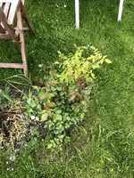 6E337E7E-0E50-4B32-B840-0043B87D6C49.webp 6E337E7E-0E50-4B32-B840-0043B87D6C49.webp