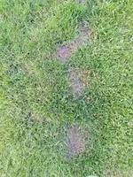 IMG_20210601_211352.webp
