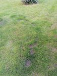 IMG_20210601_211343.jpg