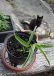 DSC04522.JPG