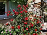 IMG_20210531_152502.webp