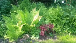 20210602_111249.webp