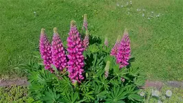 20210602_111323.webp