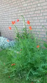 20210602_111438.webp