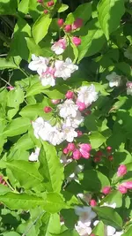 20210602_111534.webp