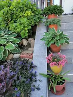 IMG_20210529_173704.webp