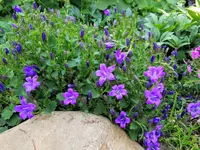 IMG_20210601_175644.webp