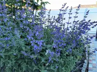 IMG_20210601_182641.webp