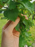 IMG_20210524_124820.webp IMG_20210524_124820.webp