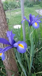 20210602_203016.webp