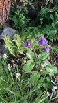 20210602_202734.jpg