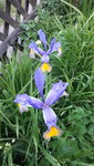 20210602_203044.jpg
