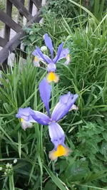 20210602_203044.webp