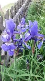 20210602_203037.webp