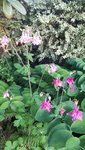 20210602_202724.jpg