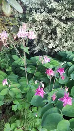 20210602_202724.webp