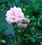 _MG_9932.JPG