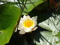 DSC01728.webp