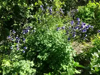 DSC01732.webp