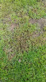 IMG-20210603-WA0000.webp