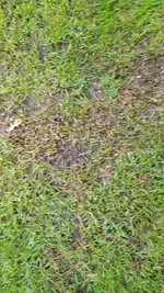 IMG-20210603-WA0002.webp