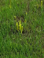 20210603_164648.webp