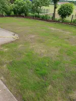 20210603_164710.webp