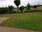 20210603_165050.jpg