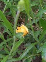 20210603_193144.webp