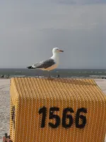 20210603_172203.webp