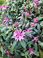 IMG_20210530_153505_1.webp