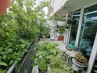 IMG_20210603_133722.webp